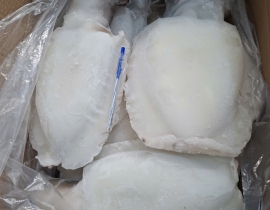 MỰC NANG LÀM SẠCH TRẮNG ĐẸP 1KG-2KG N7 (ĐÃ BAO GỒM MẠ BĂNG) LÔ NHẬP NGÀY 23/04/2026