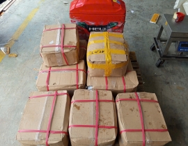 RĂNG MỰC 100 CÁI UP NET 7