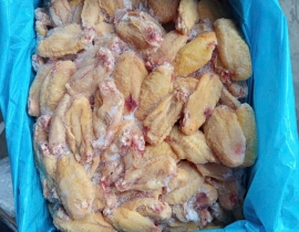 Cánh gà khúc giữa - da vàng
