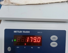 Cá sapa nauy fillet 