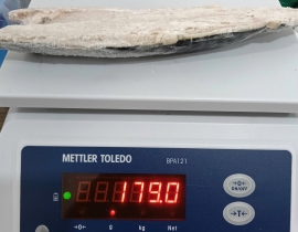 Cá sapa nauy fillet 