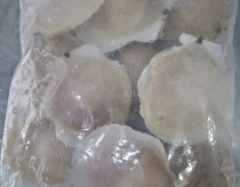 SÒ ĐIỆP NHẬT NỮA MÃNH 10-12CON/KG TÚI 1KG N5 LÔ NHẬP NGÀY 04/05/2026