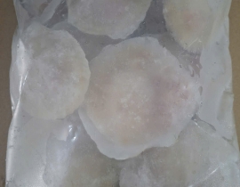 SÒ ĐIỆP NHẬT NỮA MÃNH 10-12CON/KG TÚI 1KG N5 LÔ NHẬP NGÀY 04/05/2026