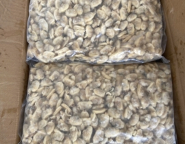 THỊT NGHÊU LUỘC ĐÔNG LẠNH, SIZE 700-1000. 10KG/THÙNG LÔ NHẬP NGÀY 18/05/2026