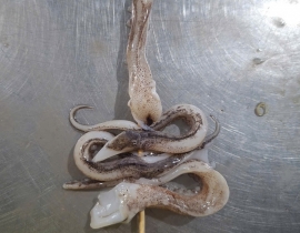 Râu mực xiên que