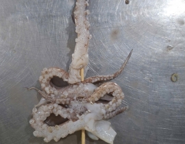 Râu mực xiên que