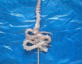 Râu mực xiên que