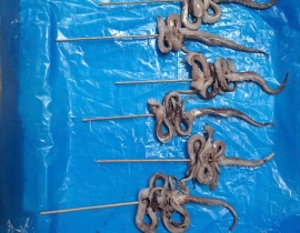 Râu mực xiên que
