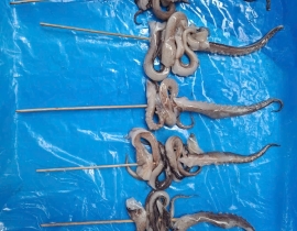 Râu mực xiên que
