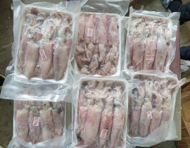 MỰC ỐNG TRỨNG 20-25 CON/KG -  100% CÓ TRỨNG - ĐỦ KG 