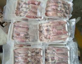 MỰC ỐNG TRỨNG 20-25 CON/KG -  100% CÓ TRỨNG - ĐỦ KG 