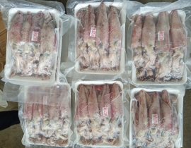 MỰC ỐNG TRỨNG 20-25 CON/KG -  100% CÓ TRỨNG - ĐỦ KG 