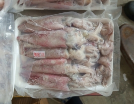 MỰC ỐNG TRỨNG 20-25 CON/KG -  100% CÓ TRỨNG - ĐỦ KG 
