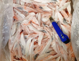 VÂY CÁ HỒI ATLANTIC BLOCK. 20KG