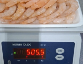 Nõn tôm thẻ xếp vỉ 500g