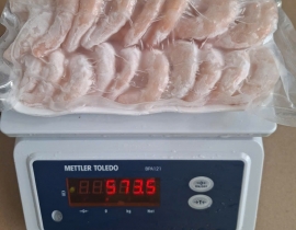 Nõn tôm thẻ xếp vỉ 500g