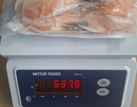 VÂY CÁ HỒI VỈ 500G N8 (ĐÃ BAO GỒM MẠ BĂNG)