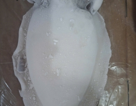MỰC NANG LÀM SẠCH SIZE 1000 - 2000G NET 7