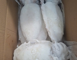 MỰC NANG LÀM SẠCH SIZE 1000 - 2000G NET 7