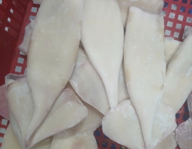 MỰC ỐNG INĐO (ILEX) LÀM SẠCH KHÔNG ĐẦU - MỰC FILLET