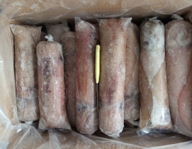 MỰC LÁ PLP 3A 600-800 LÔ NHẬP NGÀY 29/06/2026
