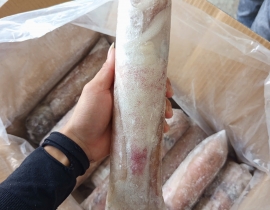 MỰC LÁ PLP 3A 600-800 LÔ NHẬP NGÀY 29/06/2026