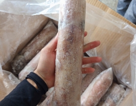 MỰC LÁ PLP 3A 600-800 LÔ NHẬP NGÀY 29/06/2026