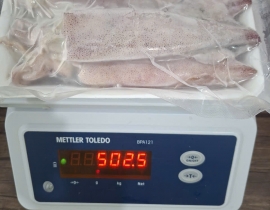 MỰC ỐNG LAO 15CM UP VỈ 500G N8 (ĐÃ BAO GỒM MẠ BĂNG)