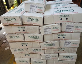 ĐUÔI HEO TONNIES CẮT NGẮN
