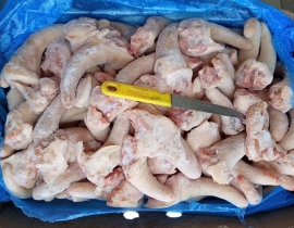 ĐUÔI HEO TONNIES CẮT NGẮN
