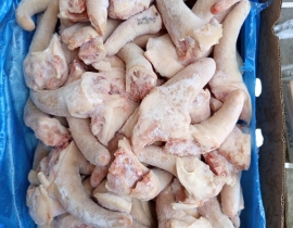 ĐUÔI HEO TONNIES CẮT NGẮN
