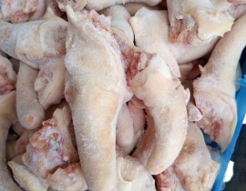 ĐUÔI HEO TONNIES CẮT NGẮN