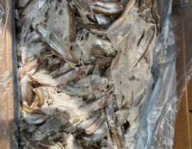 Cá trứng canada 51-55 cont tháng 3/2026 thùng 10kg