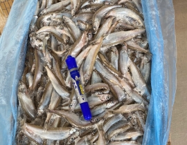 Cá trứng canada 51-55 cont tháng 3/2026 thùng 10kg