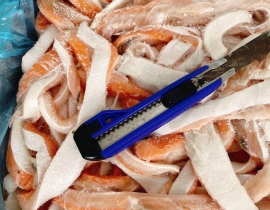 LƯỜN CÁ HỒI 1-3CM THÙNG 20KG LÔ NHẬP 17/04/2026