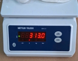 MỰC LÁ LÀM SẠCH 300-600G