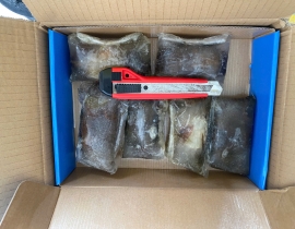 CUA LỘT A N7 SIZE 6-8 THÙNG 10KG LÔ NHẬP NGÀY 13/05/2026