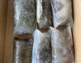 CUA LỘT A N7 SIZE 6-8 THÙNG 10KG LÔ NHẬP NGÀY 13/05/2026