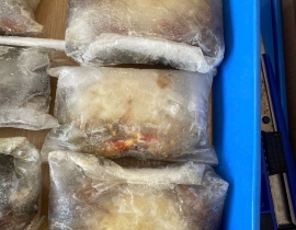 CUA LỘT A N7 SIZE 6-8 THÙNG 10KG LÔ NHẬP NGÀY 13/05/2026