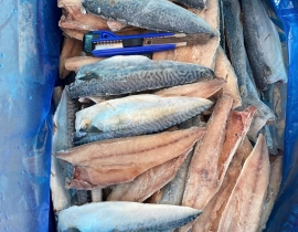 CÁ SAPA NHẬT FILLET CÒN KAMA 