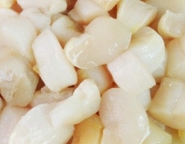 CỒI SÒ MAI