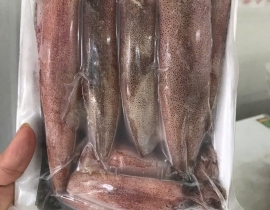 MỰC ỐNG SỐ 6,5 ( 20-25 CON/KG ) VỈ 500G ĐỦ KG 