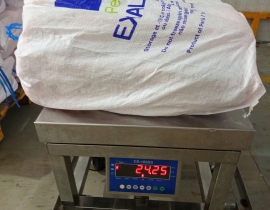 ĐẦU RÂU MỰC KHỔNG LỒ (  RÂU MỰC TƯƠI ĐẠI DƯƠNG ) LÔ 17.6.26