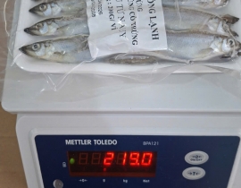 CÁ TRỨNG SIÊU TRỨNG VỈ 200G ĐỦ KG