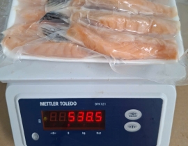 VÂY CÁ HỒI LỰA ĐỎ LỚN LOẠI 1 ĐẸP 20-30CÁI/1KG VỈ 500G N8 (ĐÃ BAO GỒM MẠ BĂNG)