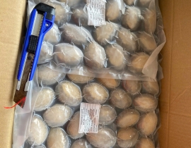 BÀO NGƯ NGUYÊN CON (THÙNG XANH) CONT NGÀY 20/04/2026