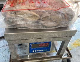 MỰC ỐNG INDO 200-300 LÔ NHẬP NGÀY 27/04/2026