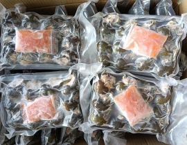 ỐC BƯƠU NHỒI THỊT - KHAY 290 - 330G 12 CON