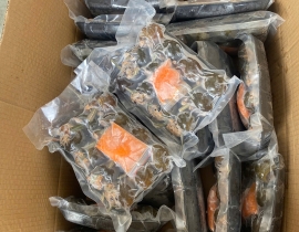 ỐC BƯƠU NHỒI THỊT - KHAY 290 - 330G 12 CON