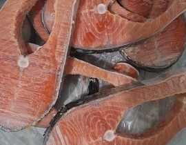 CÁ HỒI CHILE COHO CẮT KHOANH 1 CM